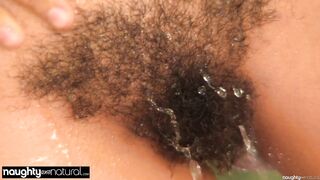 Thick Dark Hairy Bush on Knockout Beauty