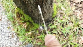 pissing on a tree