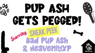 Pup Ash Getting Pegged - Sneak Peek