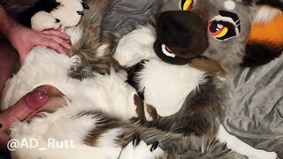 Furry Hyena girl gets fucked hard in fursuit Onlyfans preview