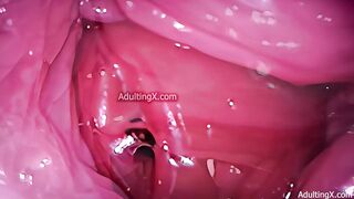 Camera in Vagina, Cervix POV, Tiny Cucked by Giant ‘Couple’, Cum in Condom and Creampie - Full Clip